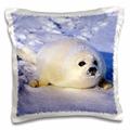 3dRose PC 74854 _ 1 Golf von St. Lawrence, Harfe seal-cn14 gje0024-gavriel jecan-Pillow Fall, 16 von 40,6 cm