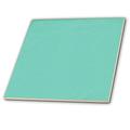 3dRose Print of Pool Aqua-Ceramic Tile Zoll (CT 204782 _ 4), 30,5 cm