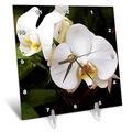 3dRose weiß Mond Orchidee, Phalaenopsis Aphrodite, Südafrika 6 von 6 (DC 207331 _ 1), 6 x 6 Schreibtisch Uhr