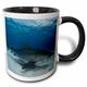 3dRose Shark mit Kleine Fische, galeocerdo Cuvier, Tiger, Strand, Freeport, Bahamas, Atlantic Ocean-Two Ton Schwarz Tasse, Keramik, Mehrfarbig, 10,2 x 7,62 x 9,52 cm