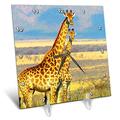 3dRose Giraffen. Afrika, Zoo. – Schreibtisch Uhr, 6 von 6 (DC 220666 _ 1)