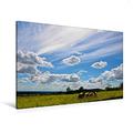 Calvendo Premium Textil-Leinwand 120 cm x 80 cm Quer, Wolken Fliegen | Wandbild, Bild auf Keilrahmen, Fertigbild auf Echter Leinwand, Leinwanddruck: Wolken Fliegen überall Natur Natur