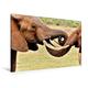 Calvendo Premium Textil-Leinwand 120 cm x 80 cm Quer, Begrüßung zweier Elefanten | Wandbild, Bild auf Keilrahmen, Fertigbild auf Echter Leinwand. Kalender Elefanten Afrikas Tiere Tiere