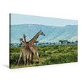 Calvendo Premium Textil-Leinwand 75 cm x 50 cm Quer, Ein Motiv aus Dem Kalender Giraffen. Faszinierende Wildtiere Afrikas | Wandbild, Bild auf Keilrahmen. Masai Mara.Kenia. Giraffen Tiere Tiere