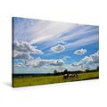 Calvendo Premium Textil-Leinwand 75 cm x 50 cm Quer, Wolken Fliegen | Wandbild, Bild auf Keilrahmen, Fertigbild auf Echter Leinwand, Leinwanddruck: Wolken Fliegen überall Natur Natur