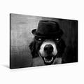 Premium Textil-Leinwand 90 cm x 60 cm Quer Border Collie Bild auf Leinwand | Wandbild, Bild auf Keilrahmen, Fertigbild auf Echter Leinwand, Leinwanddruck