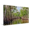 Calvendo Premium Textil-Leinwand 75 cm x 50 cm Quer, Tropische Mangrovenwälder im Everglades-Nationalpark, Florida | Wandbild, Bild auf Keilrahmen, Fertigbild Florida, USA Orte Orte