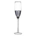 Premier Housewares Apollo Sektgläser, 4er Set, 210ml, Silver Crosshatched Design