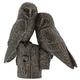 Border Fine Arts Studio Bronze Pair of Owls Figur