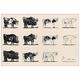 Artopweb EC40082 Picasso - Le Taureau, Holz, Bunt, 92 x 1.8 x 61 cm