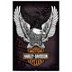 Artopweb TW21570 Harley Davidson Logo Dekorative Paneele, Multifarbiert, 60x90 Cm