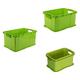Rotho 3er Set Aufbewahrungsbox Systembox "Agilo", Lagerboxen aus Kunststoff, Verschiedene Größen, Plastik, Grün