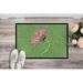 Caroline's Treasures Gerber Daisy Pink Non-Slip Indoor Door Mat Synthetics in White | Rectangle 2' x 3' | Wayfair 8853JMAT