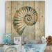 East Urban Home Spiral Shell Hand Painted - Nautical & Coastal Print on Natural Pine Wood in Blue/Brown | 16 H x 16 W x 0.78 D in | Wayfair
