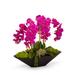 T&C Floral Company Orchid Floral Arrangement in Metal Planter in Pink | 24 H x 26 W x 12 D in | Wayfair F1401MF