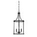 Savoy House Penrose 12 Inch Cage Pendant - 7-1040-3-BK