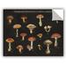 August Grove® Mushroom Chart I Removable Wall Decal Vinyl in Black/Brown/Orange | 8 H x 10 W in | Wayfair 14CB652F03DE49909DFF4E93423F4B72