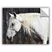 Charlton Home® Equestrian Removable Wall Decal Vinyl in White | 18 H x 24 W in | Wayfair 1C15D1D62F2147E79C17660397D3C5EA