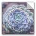 Bungalow Rose Succulent Cactus Flowe Removable Wall Decal Vinyl in Green | 14 H x 14 W in | Wayfair 6B0B1B29AF4A42318E4B96C33A643643