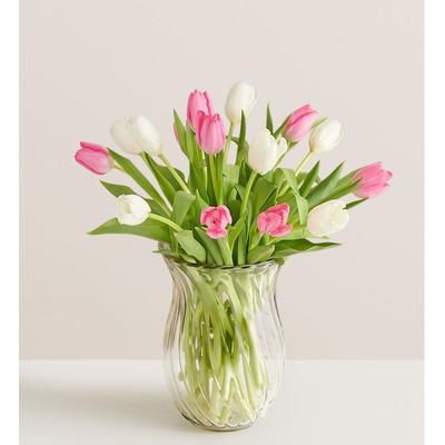 1-800-Flowers Seasonal Gift Delivery Sweet Spring Tulip Bouquet 15 Stems W/ Clear Vase | Put A Smile On Their Face