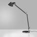 Artemide Michele De Lucchi, Giancarlo Fassina Tolomeo 25 Inch Desk Lamp - TOL0001