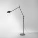 Artemide Naoto Fukasawa Demetra 61 Inch Reading Lamp - DEM1205