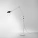 Artemide Naoto Fukasawa Demetra 61 Inch Reading Lamp - DEM1206