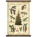 Millwood Pines Cotton Spruce Tapestry w/ Hanging Accessories Included Metal in Brown/White | 60 H x 40 W in | Wayfair