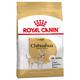 2 x 3 kg Chihuahua Adult Großgebinde Royal Canin Hundefutter trocken