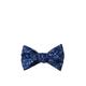 Mens Blue Microfiber Math Mathematics Equations Butterfly Self Bow Tie