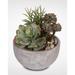 Bungalow Rose Artificial Succulent w/ Natural Pebbles in Pot Silk/Plastic/Stone in Gray | 10 H x 9 W x 9 D in | Wayfair