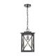 ELK Lighting Carriage Light 15 Inch Tall Outdoor Hanging Lantern - 46753/1