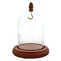 3 x 4 Pocket Watch Glass Display Dome Cloche with Hook & Wood Knob, Walnut Stained Base