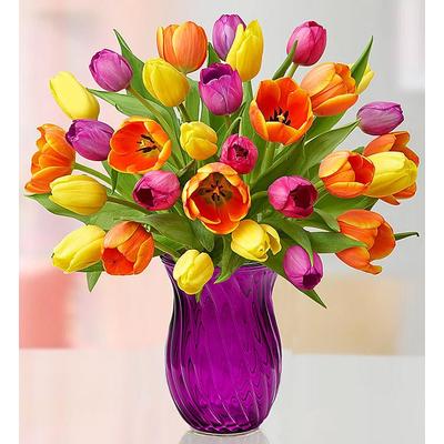 1-800-Flowers Seasonal Gift Delivery Mother's Day Radiant Tulips 15-30 Stems 30 Stems W/ Purple Vase