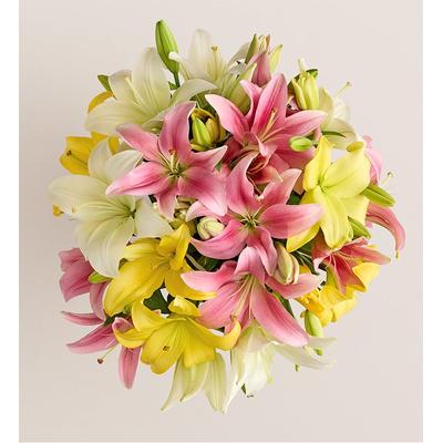 1-800-Flowers Flower Delivery Sweet Spring Lilies + Free Vase Double Bouquet Only | Happiness Delivered To Their Door