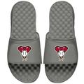 Men's ISlide Gray Arizona Diamondbacks Alternate Logo Slide Sandals