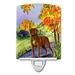 Caroline's Treasures Chesapeake Bay Retriever Ceramic Night Light Ceramic in Green/White | 6 H x 4 W x 3 D in | Wayfair SS8427CNL