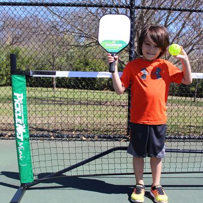 Oncourt Offcourt Picklenet Mini Pickleball Court Equipment