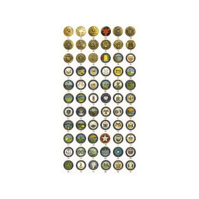 ASP Logo Leverage Cap Breakaway & G1 Key Silver - South Carolina 75980