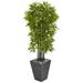 Bayou Breeze 61in. Bamboo Artificial Tree w/ Black Trunks in Slate Planter UV Resistant (Indoor/Outdoor) Earthenware/Silk/Plastic | Wayfair