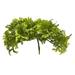 August Grove® 12 Artificial Moss Plant Set Silk/Plastic | 6 H x 6 W x 3 D in | Wayfair 635D904D417D448391F62B0132F3FC6C