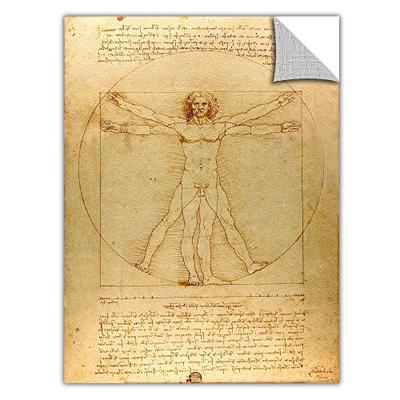 ArtApeelz Leonardo DaVinci 'Vitruvian Man' Removable Wall Art Graphic 36 by 48-Inch