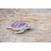 Hi-Line Gift Ltd. LARGE SEA TURTLE in Indigo | 7.87 H x 19.2 W x 24.8 D in | Wayfair 87683-A