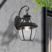 Lark Manor™ Alexavier 12.5" H Beveled Glass Outdoor Wall Lantern Brass/Glass/Metal in Black | 12.5 H x 7 W x 7 D in | Wayfair