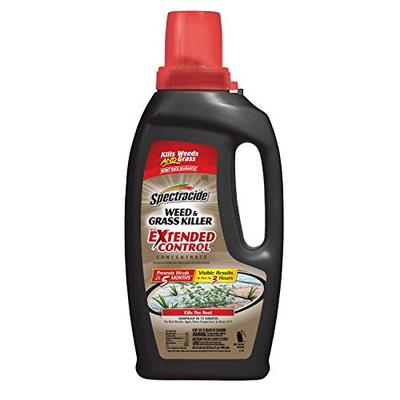 Spectracide Weed & Grass Killer with Extended Control Concentrate 32 oz., 1-PK
