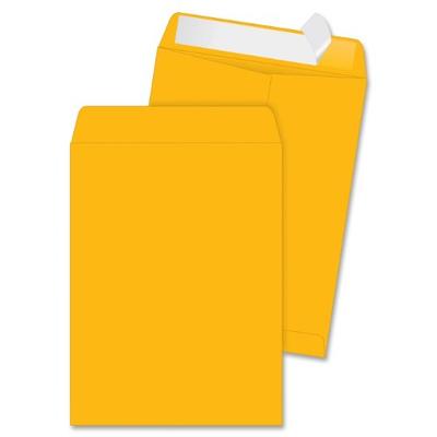 Quality Park High Bulk Catalog Envelope, 9 x 12 Inches, Kraft, Redi-Strip, Box of 250 (41420)