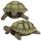 Design Toscano Gilbert The Box Turtle Garden Decor Animal Statue, 9 Inch, Set of Two, Polyresin, Ful