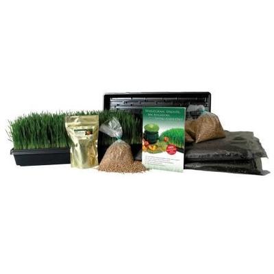 Living Whole Foods Certified Organic Wheatgrass Growing Kit - Grow & Juice Wheat Grass: Trays, Seed,