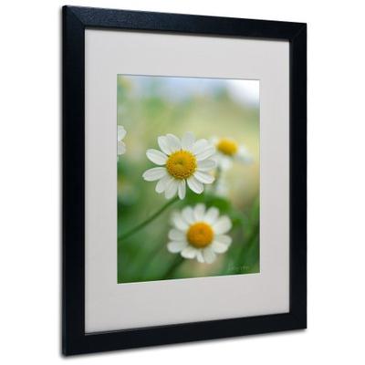Chamomile by Kathy Yates Canvas Artwork in Black Frame, 16 by 20-Inch