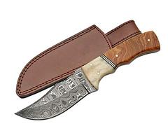 SZCO Supplies DM-1079 Damascus Buffalo Skinning Knife with Bone and Burlwood Handle